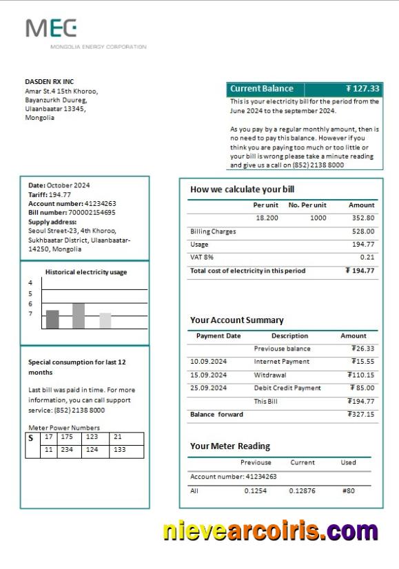 Mongolia Energy Corporation (MEC) electricity business utility bill